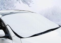 Item thumbnail for item cf0d8f92-5200-4d32-aa8c-880076882ec5