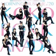 中古】タペストリー 湊斗景明 五周年記念B2タペストリー 「装甲悪鬼村