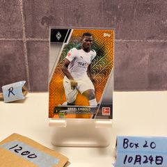 Item thumbnail for item ac220ba6-e6ac-4394-8987-181e0ffe9476