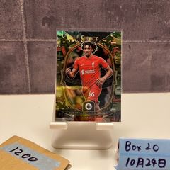 Item thumbnail for item 06c636a9-74dc-4159-9b4f-8a95ca2f9e48