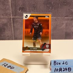 Item thumbnail for item 6c246f89-cf1d-47c7-8706-8223bf219ec6