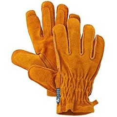 Item thumbnail for item ed749a7c-e85d-490e-87d9-aeaace318037