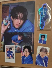 Stray Kids 2026 シーズングリーティング ファンズ 特典 チャンビン トレカ