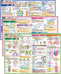 Item thumbnail for item 6838b4b3-595a-4e37-812b-150e54c069d8