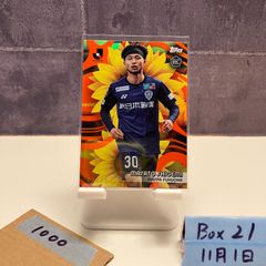 Item thumbnail for item 6f6307a5-2648-48ae-a25a-70dddc15f3a1