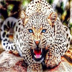 Item thumbnail for item 73e834d9-9f27-46df-b0d9-b3a1e8d3131f