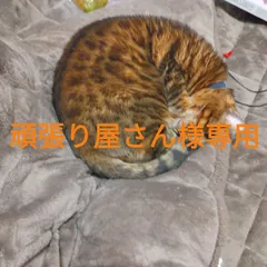 頑張り屋さん様用