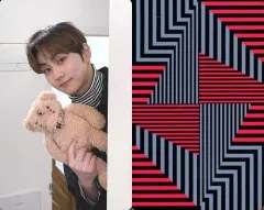 【中古】コレクションカード(男性) ENHYPEN/ジョンウォン(JUNGWON)/裏面赤・黒・グレー/CD「BORDER ： CARNIVAL(HYPE ver.)」封入特典フォトカード