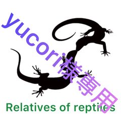 Item thumbnail for item 58d4fe15-a948-4475-95f9-bb3ca663f411