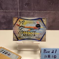 Item thumbnail for item e25db4ee-7aad-4491-99a2-9723c72adc72