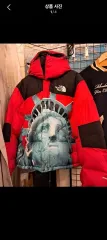 Supreme THE NORTH FACE ザノースフェイス LIBERTY : IN OUR COSMOS Nuptse(ヌプシ) ダウン レッド 700