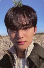 【中古】コレクションカード(男性) SEVENTEEN/MINGYU(ミンギュ)/裏面茶/CD「Face the Sun」(ep.4 Path)封入特典フォトカード