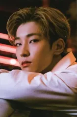 【中古】コレクションカード(男性) 09：SEVENTEEN/WONWOO(ウォヌ)/「SEVENTEEN WONWOO X MINGYU ‘Bittersweet’」トレーディングカード