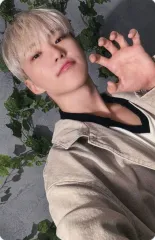 【中古】コレクションカード(男性) SEVENTEEN/ホシ(HOSHI)/CD「消費期限」(初回限定盤B)封入セルフィーフォトカードB