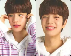 【中古】コレクションカード(男性) Stray Kids/Seungmin(スンミン)/「NACIFIC×Stray Kids」Nacific Cosmetics購入特典両面フォトカード 第八弾 TypeA