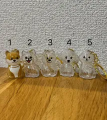 ペット遺毛ケース 透明ボトル 犬 小動物 メモリアル キーホルダー  毛・ひげ保存 携帯用 遺毛入れ かわいい収納グッズ