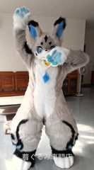 狼 着ぐるみ ケモノ体 フルスーツ セット 全頭ヘッド ファースーツ