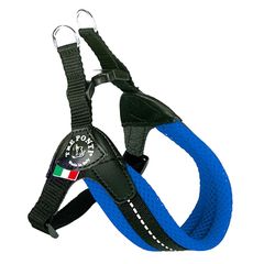 Item thumbnail for item b9e82a29-6598-4770-b09b-9c012e8cd5ae