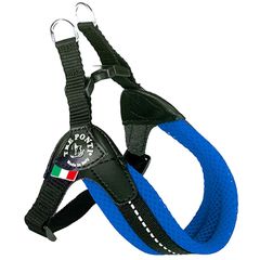 Item thumbnail for item be9a536c-e15e-4257-8138-2c448ffa3855