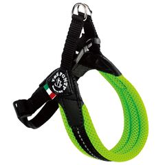 Item thumbnail for item d5de03bb-f916-41a6-8d11-6f1b8caacd28