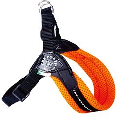 Item thumbnail for item 43e123f7-4de1-430a-a92b-8aac66903e30