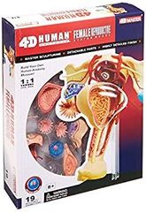 Item thumbnail for item ac1c1410-0c13-41dc-9a0c-3d15d08e1895