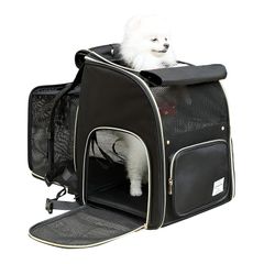 Item thumbnail for item ba4a8be3-46bb-42a7-8dbf-e660420abf30