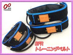 Item thumbnail for item f28a7d1f-c357-48f2-bbba-1db880e1de44