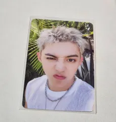 SEVENTEEN エスクプスXミンギュ エスクプス FAN PARTY トレカ