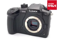2026年最新】lumix gh5の人気アイテム - メルカリ