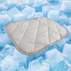 Item thumbnail for item 3726cec1-9ee5-454b-95a0-1e3dee4d2cc5