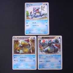 ワニノコ オーダイル レジェンド ミラー 3枚 - メルカリ