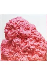 CD/バトルス/Glass Drop 初回限定盤