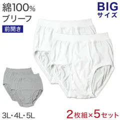 ブリーフ 綿100% 大きいサイズ 2枚組×5セット 3L 4L 5L 前あき メンズ 下着 コットン ゆったり 白 グレー 3l 4l 5l 肌着 ビッグサイズ ブリーフ パンツ 白 灰色 グレー
