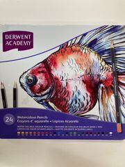 Item thumbnail for item 3dc28af3-5447-44e0-82ee-691cd3dec04f