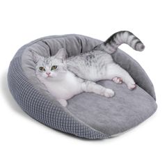 Item thumbnail for item a560fd1f-8504-42e9-90df-70450ba21a84