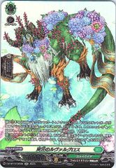 管理番号2】カードファイト‼︎ヴァンガード,シングルカード,Dシリーズ