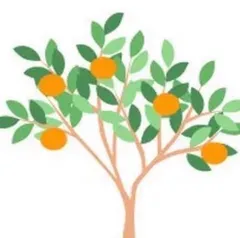 ^ ^J^ ^様専用ページ！