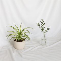 Item thumbnail for item 0aeb2267-167a-4e7f-8c54-7437688c94f5