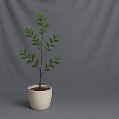 Item thumbnail for item b2e07149-ad46-451a-9212-a68d968f7e9d