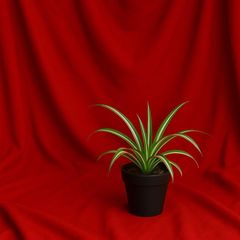 Item thumbnail for item 37060715-5469-48e6-a94c-d11fdefb5a68