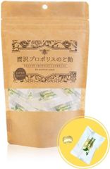 Item thumbnail for item 2c3adfa6-e996-40ae-8135-47514d45b90c