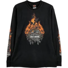 古着 00年代~ ハーレーダビッドソン Harley-Davidson ファイヤーパターン ドクロ柄 スカル柄 ロングTシャツ ロンT メンズM相当/eaa598083