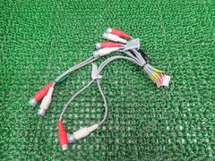 Item thumbnail for item 077507ad-47ab-4851-af3e-349e2db2fdf4