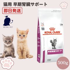 Item thumbnail for item 85f90258-85cc-4b0c-991a-69f48bad0609