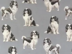 【ゆきちゃん限定】X2581 狆（チン）柄 グレー コットン生地 1m