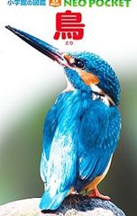 Item thumbnail for item bed26314-6f87-48ee-9987-ec25d6b7fa0b