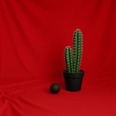 Item thumbnail for item d482fab4-8270-42b7-bdb2-1c55123dc1cc