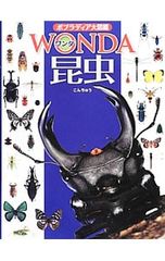 Item thumbnail for item 76547eb2-301f-48b3-9896-0901301734de