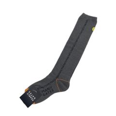 Item thumbnail for item 951d1d5d-bc1f-4997-bde2-9428096ae0e4